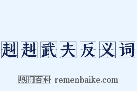 赳赳武夫反义词是什么意思的图片